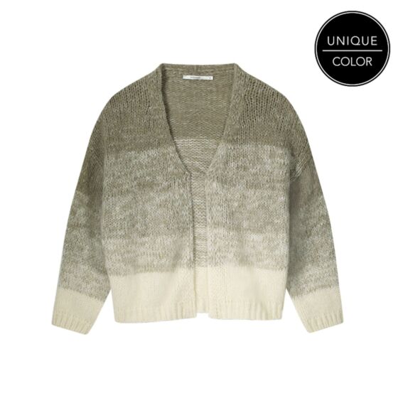 Summum Woman Degrade Cardigan Brushed Alpaca